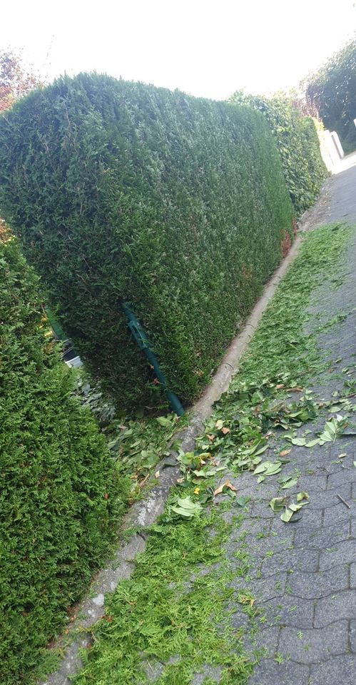 Erdarbeiten Baggerarbeiten Aushub von Pool/Teich Gartenpflege in Dreieich