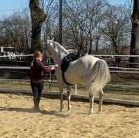 Mobiler Unterricht in Handarbeit nach Grundsätzen der Biomechanik Bayern - Moosburg a.d. Isar Vorschau