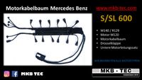 Mercedes M120 Motorkabelbaum Überholung W140 R129 Hessen - Fernwald Vorschau