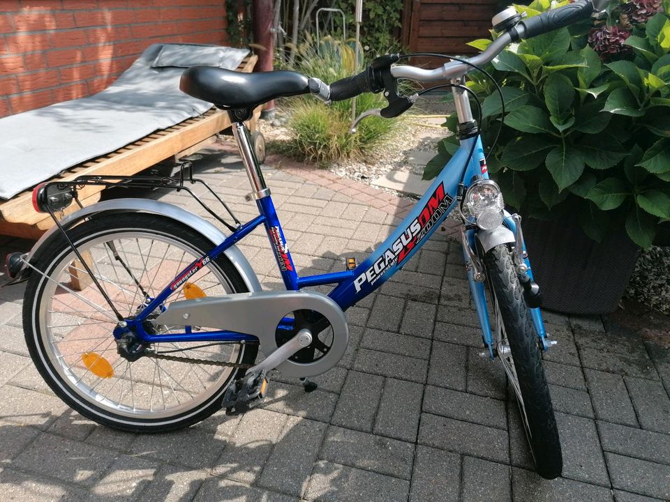 Fahrrad Pegasus 20 Zoll in Schwülper