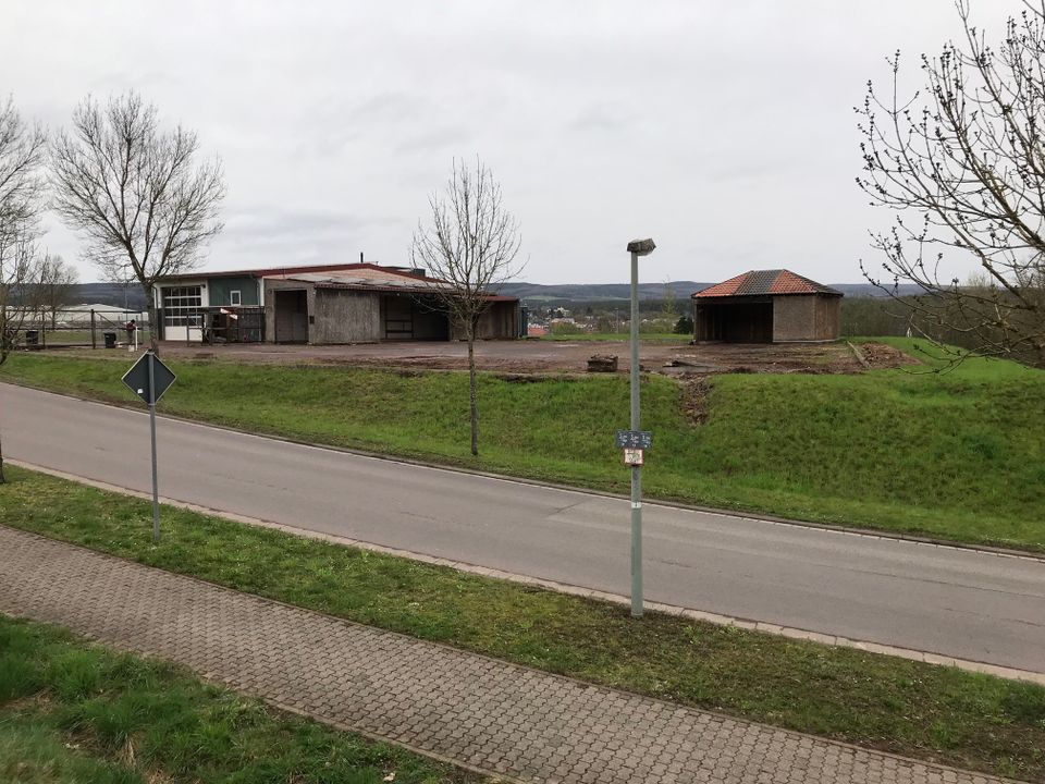 Gewerbefläche mit Gewerbehalle,Lagerhalle in Losheim zu Vermieten in Losheim am See