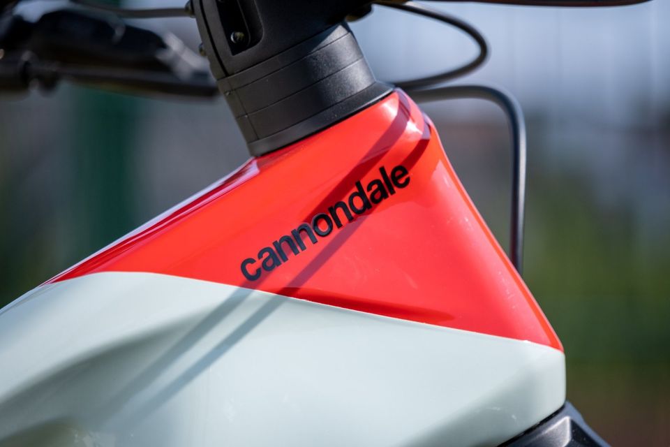 SALE⚡️NEU Cannondale Moterra Carbon Bosch Smart CX 750 eEnduro LG in Fränkisch-Crumbach