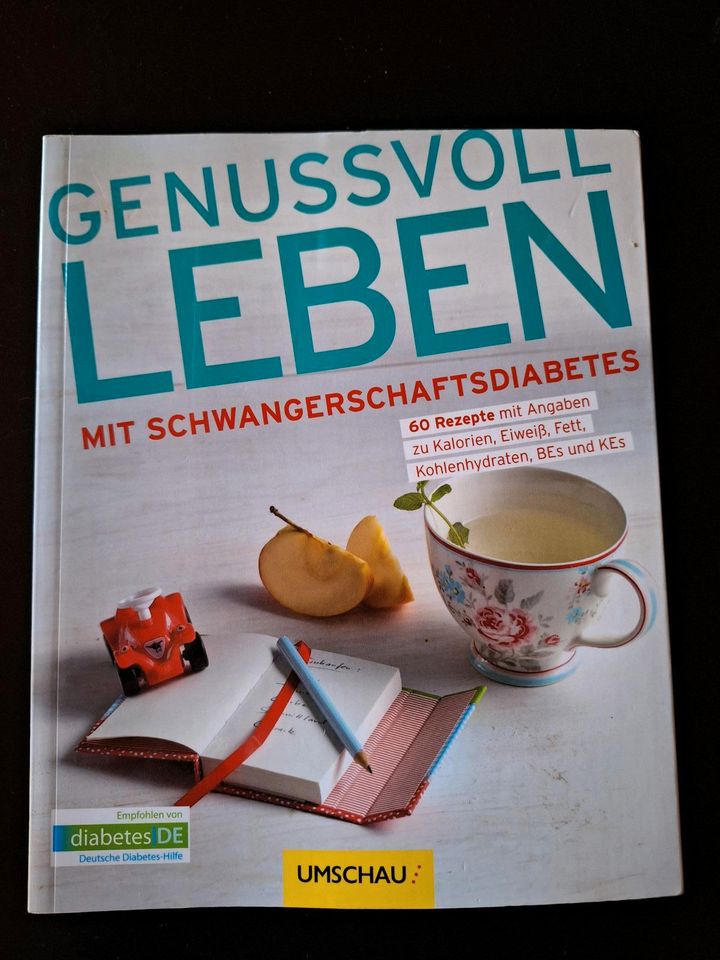 Schwanger Schwangerschaftsdiabetes Diabetes Buch low carb Rezepte in Niederlauer