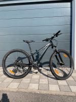 Cannondale Trail Bike 27,5“ schwarz Baden-Württemberg - Tettnang Vorschau