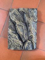 Terrarium Rückwand Exo Terra 43,5 x 30 cm Baden-Württemberg - Ditzingen Vorschau