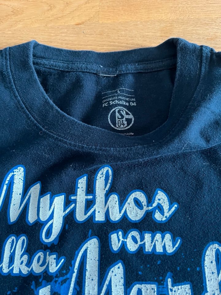Schalke 04 T-Shirt Paket  11 Stück Gr. L und mehr in Blieskastel