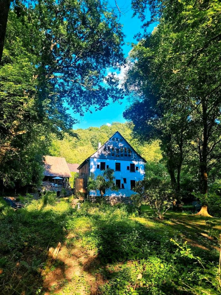 Idyllische Ferienwohnung, Natur pur, Rheinsteig in Sankt Goarshausen 