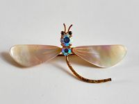 Antike wunderschöne Perlmutt-Brosche Libelle Nordrhein-Westfalen - Mülheim (Ruhr) Vorschau