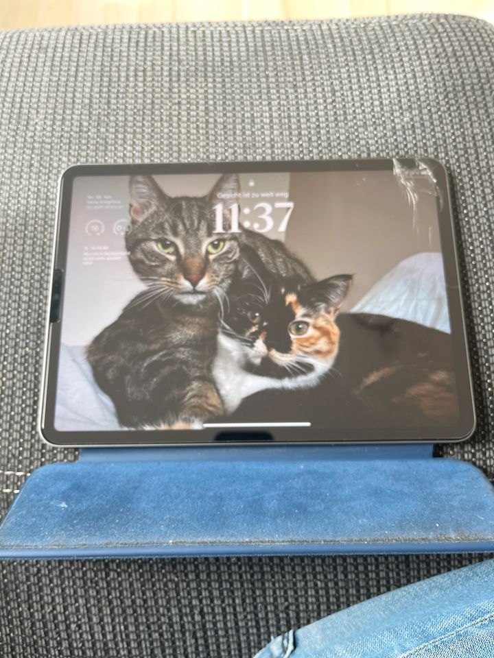 iPad 11 Pro 256 Gb 3.Generation in Bad Soden-Salmünster