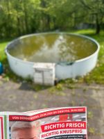 Großer Pool (ca. 5m Durchmesser) inkl. Pumpe Nordrhein-Westfalen - Odenthal Vorschau