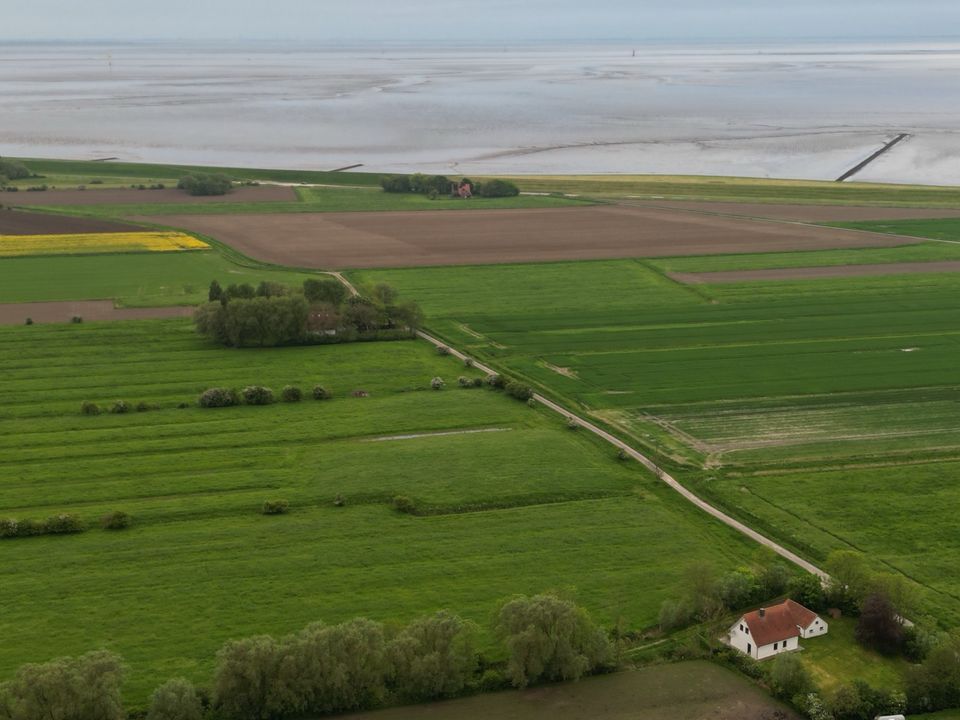 Urlaub Haus am Deich zw. Bremerhaven und Cuxhaven  ab in Misselwarden