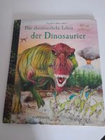 2 Dinosaurier Bücher Hessen - Bad König Vorschau