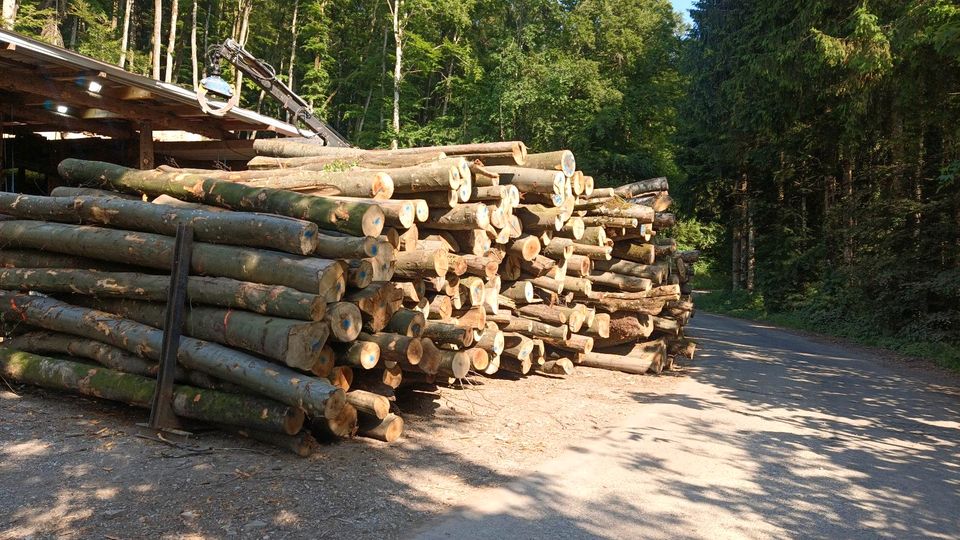 Lohnarbeiten /Säge und Spaltarbeiten in Waldshut-Tiengen