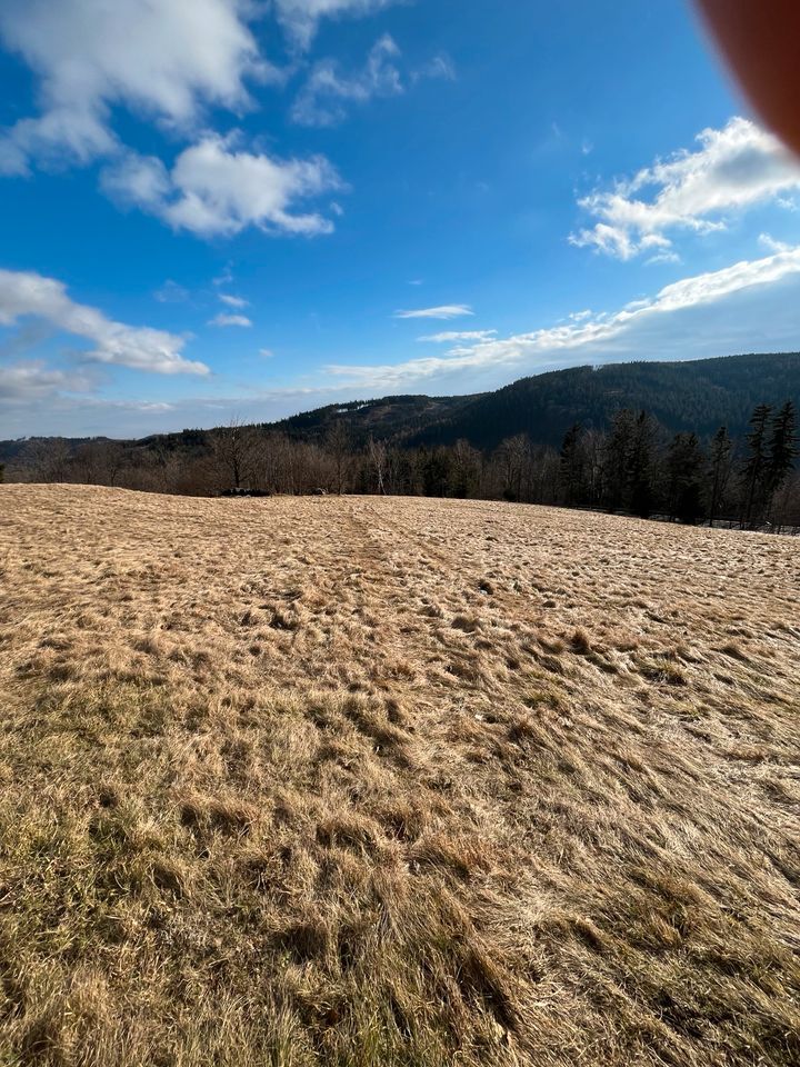 Baugrundstücke im Riesengebirge mit toller Aussicht in Berlin