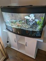 Juwel Vision 180/ Aquarium/ Terrarium Nordrhein-Westfalen - Moers Vorschau