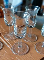 6x Schnapsglas Retro der Lachs Schnapsglas 2 cl Glas Shot Schnaps Bayern - Mehlmeisel Vorschau