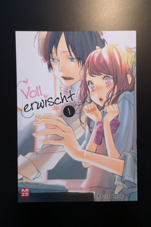 Voll Erwischt Manga 01 in Berlin