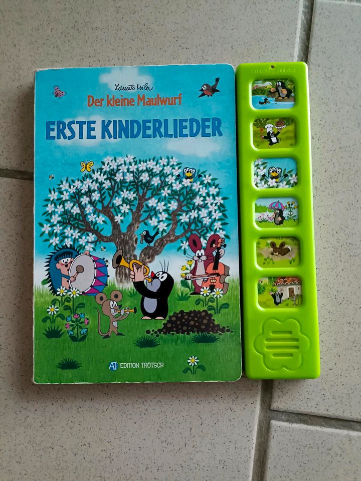 Kinderbuch mit Musik in Siek