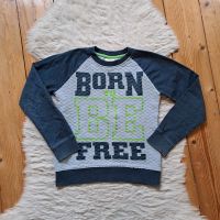 Sweatshirt Gr.122/128(Kids) Nordrhein-Westfalen - Minden Vorschau