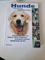 Hunde - Treue Gefährten. Informationen rund um Haltung, Pflege, E Elberfeld - Elberfeld-West Vorschau