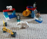 Lego Duplo 5633, Polartiergehege Schleswig-Holstein - Hanerau-Hademarschen Vorschau