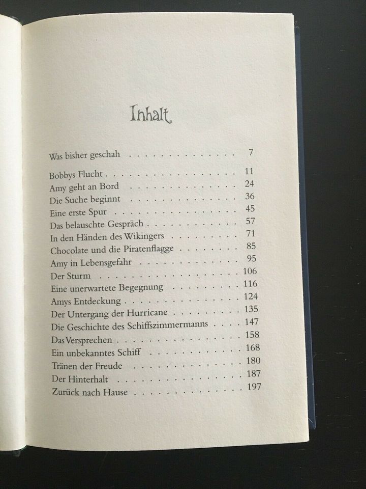 Amy zwei Jugendbücher von Monika Dockter in Filderstadt