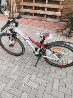 Fahrrad zu verkaufen Niedersachsen - Salzgitter Vorschau