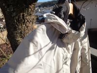 Jack Wolfskin Damenjacke Texapore Gr.M / 40 Rheinland-Pfalz - Konz Vorschau
