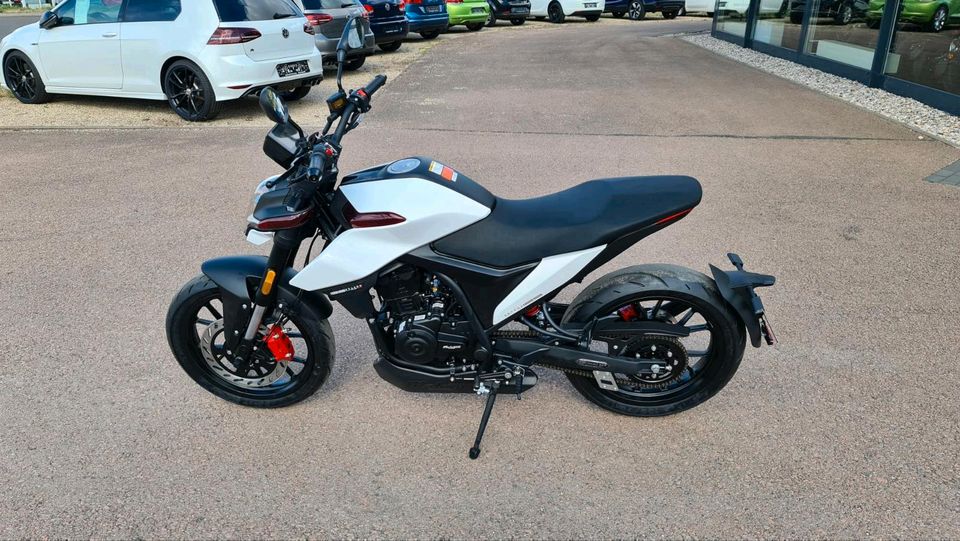 Malaguti Drakon 125ccm³ Nakedbike ähnliche KTM Duke B196/A1 NEU in Hettstedt