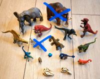 Schleich Sammlung Dinosaurier usw. Thüringen - Berlstedt Vorschau