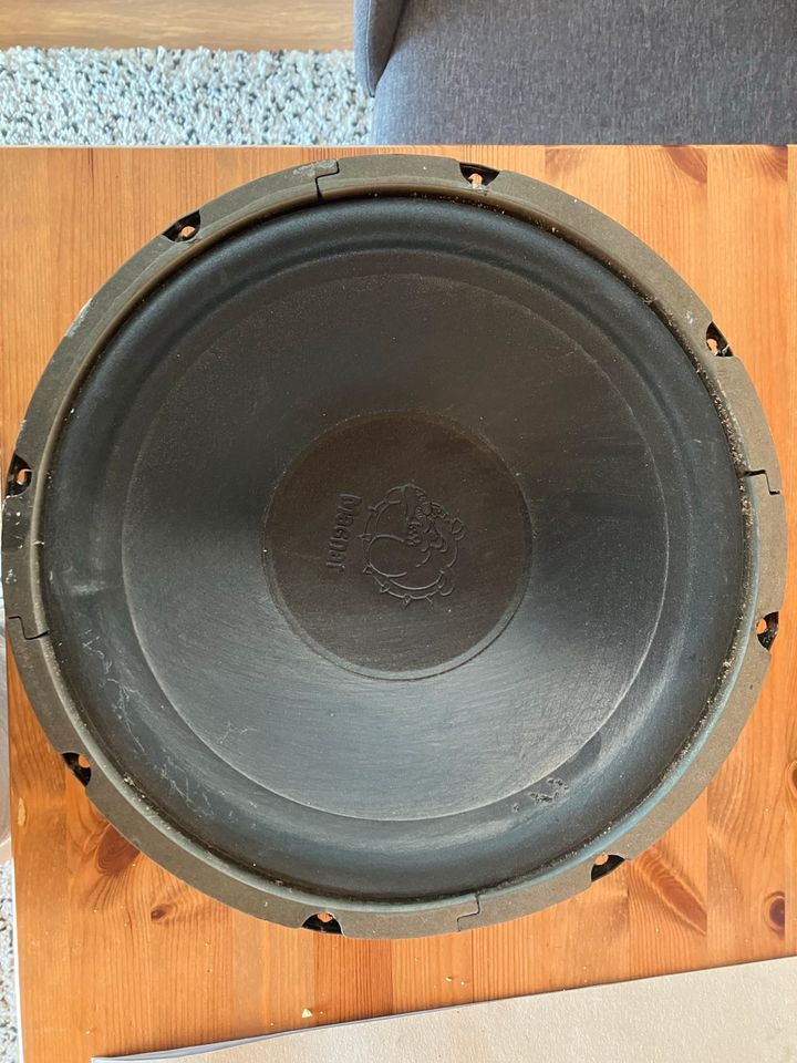 Subwoofer 30 cm Magnat Power Bull 300 in Rostock