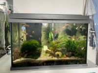 Tetra AquaArt LED Aquarium-Set, 60 Liter Düsseldorf - Gerresheim Vorschau