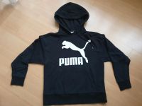 Puma Hoodie Gr.XS Köln - Nippes Vorschau