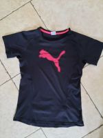 Puma Sportshirt Gr.152 Nordrhein-Westfalen - Warendorf Vorschau