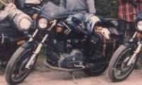 SUCHE HARLEY XLCR 1000 CAFE RACER IRONHEAD Bayern - Bamberg Vorschau