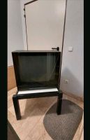 Blaupunkt Fernseher MS 70-76 BVT Bayern - Stein Vorschau