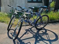 2 x Ideal // Pro Rider / 26 zoll Fahrrad Saarland - Bexbach Vorschau