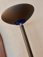 Deckenlampe Deckenleuchte Stehlampe Stehleuchte grau Nordrhein-Westfalen - Marl Vorschau