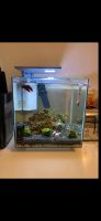 Nano Aquarium Nordrhein-Westfalen - Grevenbroich Vorschau