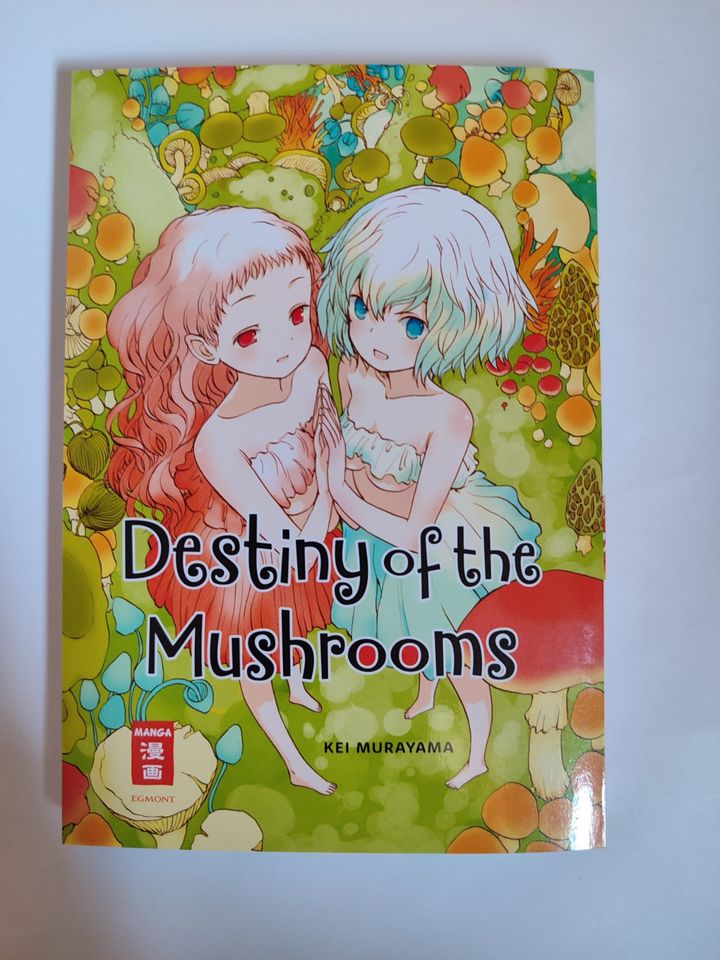 Destiny of the mushrooms in Taucha