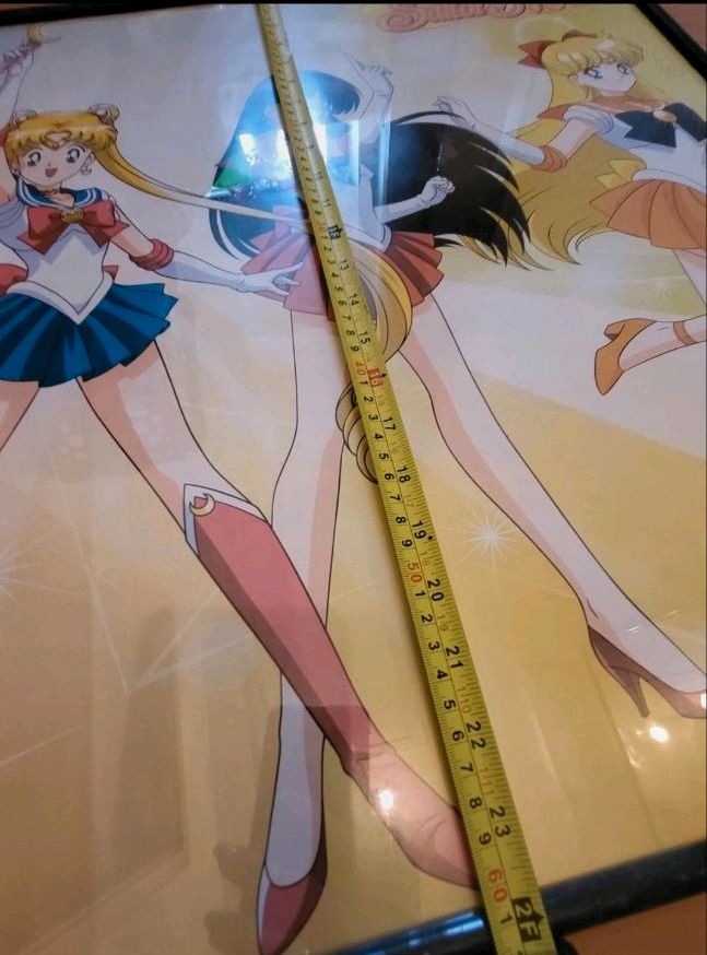 Sailor Moon  Riesenposter / Poster  / Bild in Wildeshausen