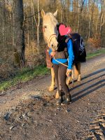 Reitbeteiligung gesucht (Mensch sucht Pferd) Hessen - Braunfels Vorschau