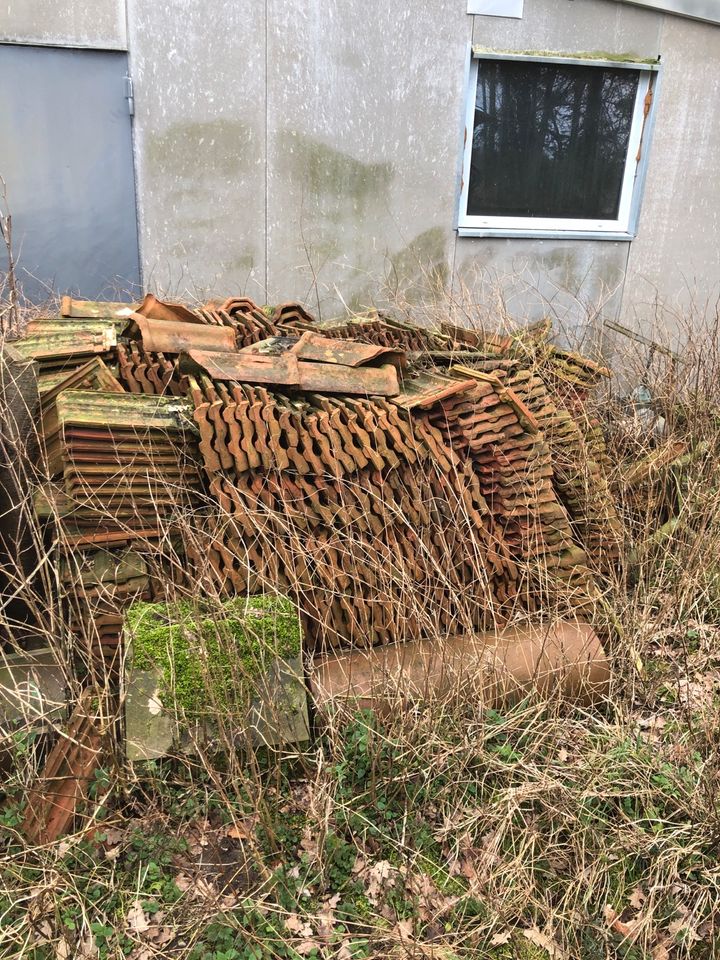 Dachpfannen Dachziegel Idumahall Schermbeck in Greven