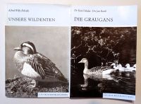 Turmfalke, Wildenten, Mäusebussard, Seeadler u.a -mehrere Brosch. Sachsen - Markranstädt Vorschau