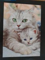 Ravensburger Puzzle 1000 Teile Motiv Katze Nordrhein-Westfalen - Warendorf Vorschau