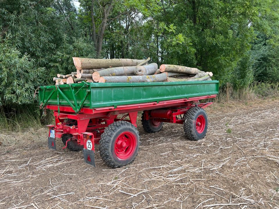 Feuerholz Brennholz Esche Eiche Laubholz in Nossen