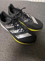 Adidas Adizero Pro Laufschuhe 42 Thüringen - Sonneberg Vorschau