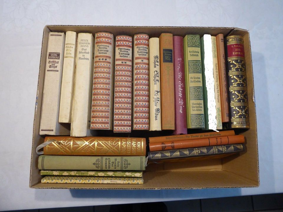 1 Karton alte Bücher, insgesamt 20 Stück in Ostfildern