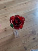 Muttertagsgeschenk, ewig blühende Rose Baden-Württemberg - Neckartenzlingen Vorschau