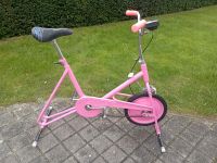 Hometrainer Trimmrad Fitnessrad Retro Look  pink Bayern - Hohenwart Vorschau